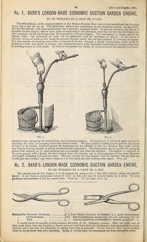 Préparer ses jardinières pour le printemps : substrat et plantation