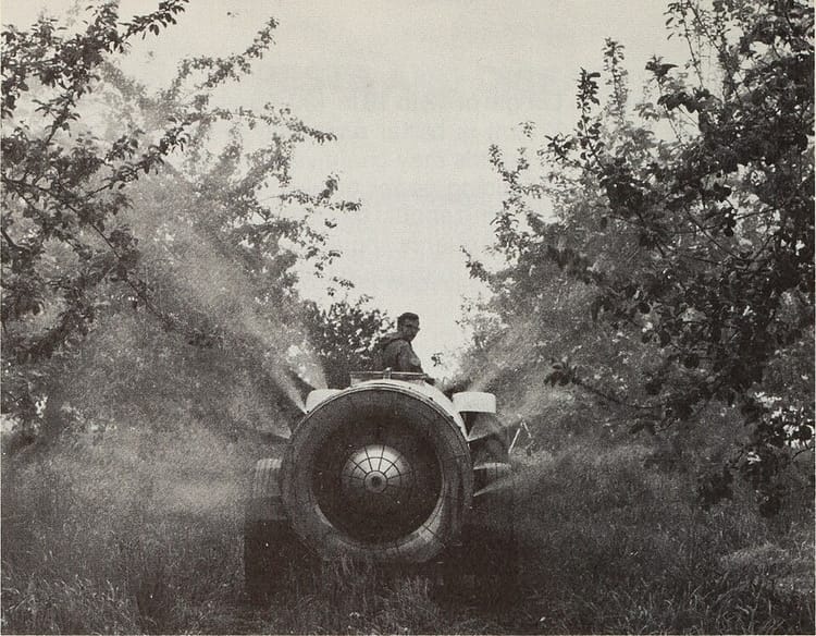 Tailler les arbres fruitiers en hiver : pommiers, poiriers, pruniers