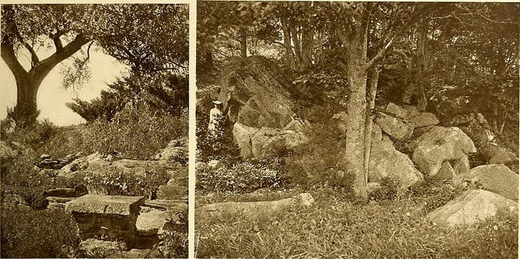 Créer une rocaille dans son jardin : guide de A à Z