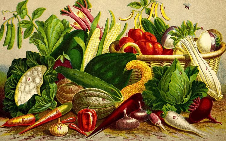 Cultiver des herbes aromatiques en pot sur le rebord de fenêtre