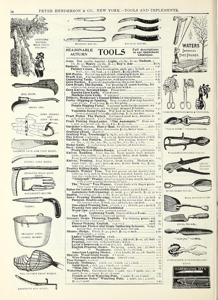 Entretenir ses outils de jardinage : affûtage et désinfection