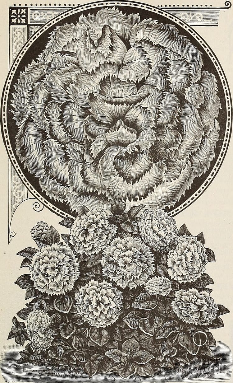 Comment stocker et entretenir ses outils de jardin pour l'hiver