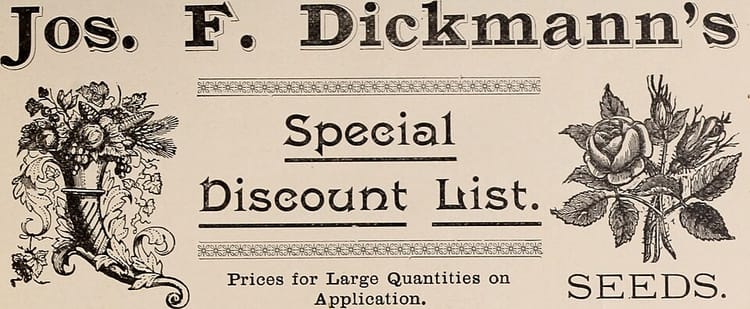 Planter des pommes de terre : quand, comment et quelles variétés ?