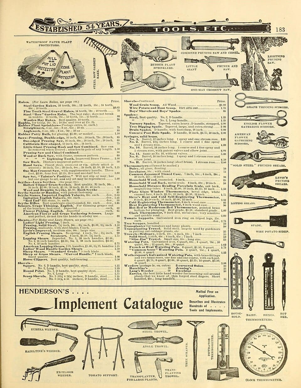 Tailler les rosiers au printemps : le guide ultime