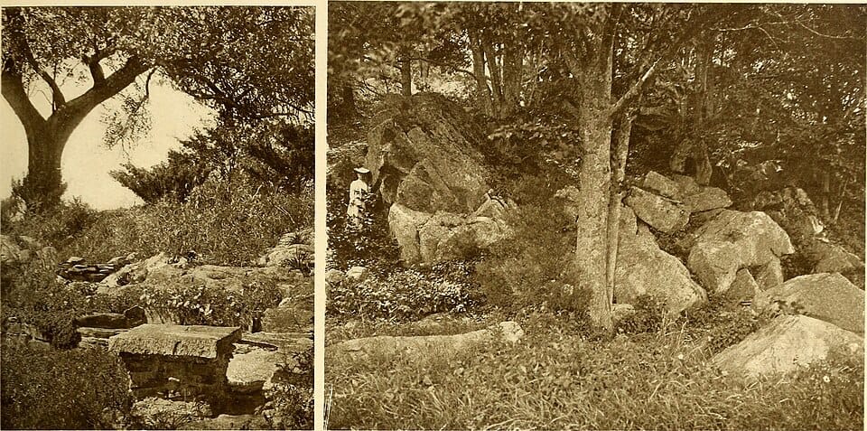 Créer une rocaille dans son jardin : guide de A à Z