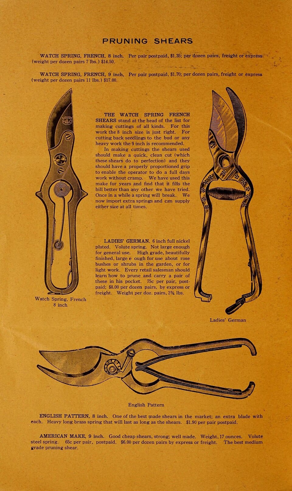 Tailler les rosiers en automne : guide pratique pour débutants