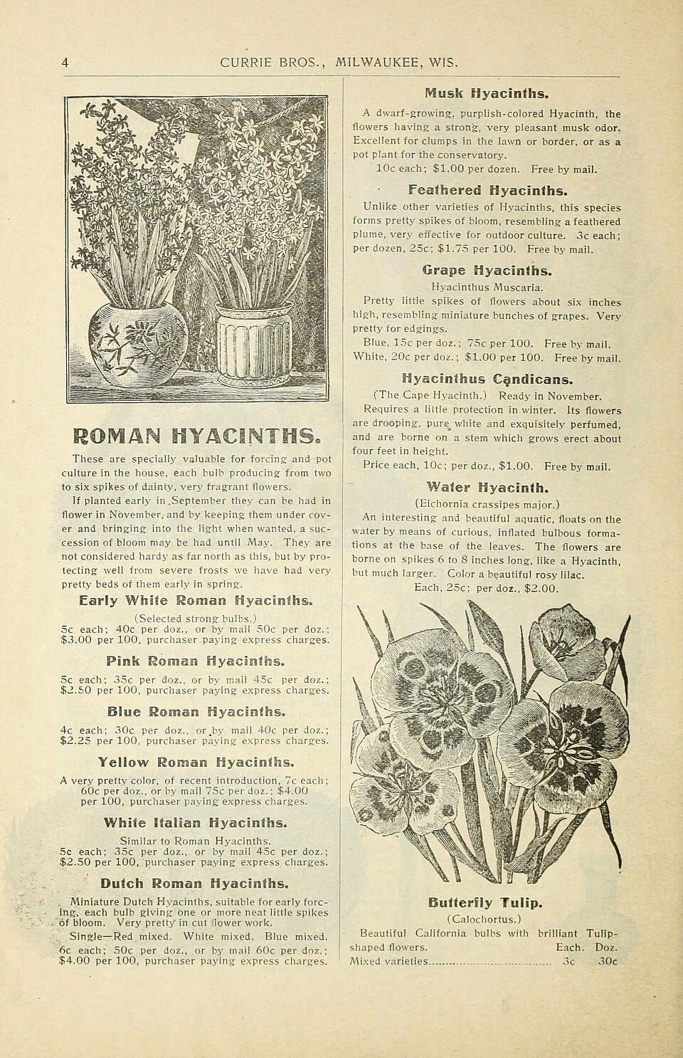 Préparer son jardin pour l'hiver : les gestes essentiels