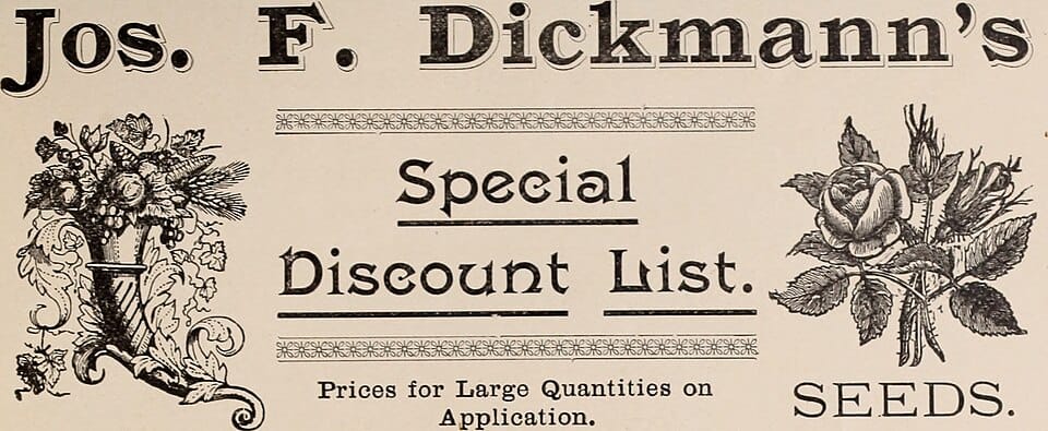 Planter des pommes de terre : quand, comment et quelles variétés ?